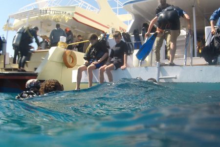 What to Expect on a Diving Day in Hurghada